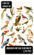 Birds of Guernsey (1879) - And the Neighbouring Islands: Alderney, Sark, Jethou, Herm; Being a Small Contribution to the Ornitholony of the Channel Islands