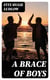 A Brace Of Boys - 1867, From "Little Brother"
