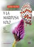 Y la mariposa voló - 52 historias sorprendentes