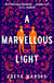 A Marvellous Light - A dazzling, queer romantic fantasy
