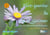 Flore ignoree du lot-et-garonne et de ses departements limitrophes.