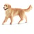 Figurine Golden Retriever, femelle - Farm world