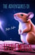 The Adventures of Little Mouse