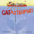 CATastrophe! - A Story of Patterns