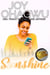 Sunshine - The New Rulebook & Pete Zendel Christian Suspense series, #9