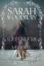 Defenders of Medieval Wales: The Lion of Wales Series (1-3)/The Last Pendragon Saga (1-3)/Daughter of Time