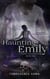 Haunting Emily - Spirit Hunters, #1