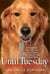 Until Tuesday - A Wounded Warrior and the Golden Retriever Who Saved Him