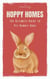 Hoppy Homes: The Ultimate Guide to Pet Rabbit Care
