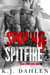 Spawn & Spitfire - Satan's Spawn MC, #1
