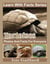 Tortoises Photos and Facts for Everyone - Learn With Facts Series, #114