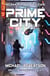 Prime City: Neonhorizont Buch Zwei - Ein Cyberpunk-Thriller - Neonhorizont, #2