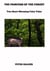 The Princess of the Forest