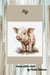 Pig - Vintage Farm Animals