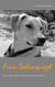 Finn Seelenspiegel - Die ersten Jahre mit meinem Tierschutzhund