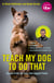 Teach My Dog To Do That