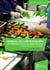 Manual de contratación de proyectos en alimentación - Herramientas técnicas y jurídicas