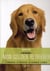 MON GOLDEN RETRIEVER