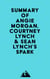 Summary of Angie Morgan, Courtney Lynch & Sean Lynch's Spark