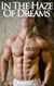 In the Haze of Dreams - Gay Military Erotica