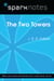 The Two Towers (SparkNotes Literature Guide)