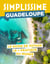 Guadeloupe Guide Simplissime