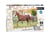 Puzzle 60 pièces - Maman et bébé cheval