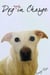 Dog Not in Charge - Sammy the Cat, #3