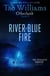 River of Blue Fire - Otherland Book 2