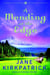 A Mending at the Edge - A Novel