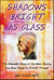 Shadows Bright as Glass - The Remarkable Story of One Man's Journey from Brain Trauma to Artistic Triumph