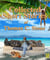 Collected Short Stories of Thomas C. Stone
