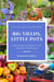 Big Yields, Little Pots: Container Gardening for Creative Gardeners - The Hungry Garden, #1