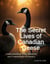 The Secret Lives of Canadian Geese