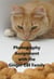 Photography Assignment With the Ginger Cat Family - Ginger Cat Family, #5
