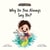 Why Do You Always Say No? (Jack Is Curious Book 5) - Jack Is Curious, #5