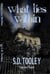 What Lies Within - Sam Casey, #5