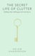 The Secret Life of Clutter - Stories of Home and Healing