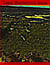 Lake Montonia Gaze