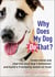 Why Does My Dog Do That? - Understand and Improve Your Dog's Behaviour and Build a Friendship Based on Trust