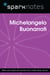 Michelangelo Buonarroti (SparkNotes Biography Guide)