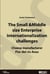 The Small & Middle size Enterprise internationalization challenges. Cheese manufacturer Flor del río Anas Case-Study