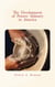 The Development of Pottery Industry in America - (with illustrations)