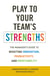 Play to Your Team's Strengths - The Manager's Guide to Boosting Innovation, Productivity, and Profitability