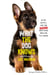 What the Dog Knows Young Readers Edition - Scent, Science, and the Amazing Ways Dogs Perceive the World