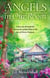 Angels in Our Room - A Journey through the Heartache of Infertility to the Joy of Divine Purpose
