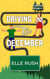 Driving to December - It Happened Up North, #4
