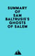 Summary of Sam Baltrusis's Ghosts of Salem