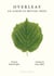 Overleaf - An Album of British Trees