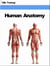 Human Anatomy (Human Body) - Human Body